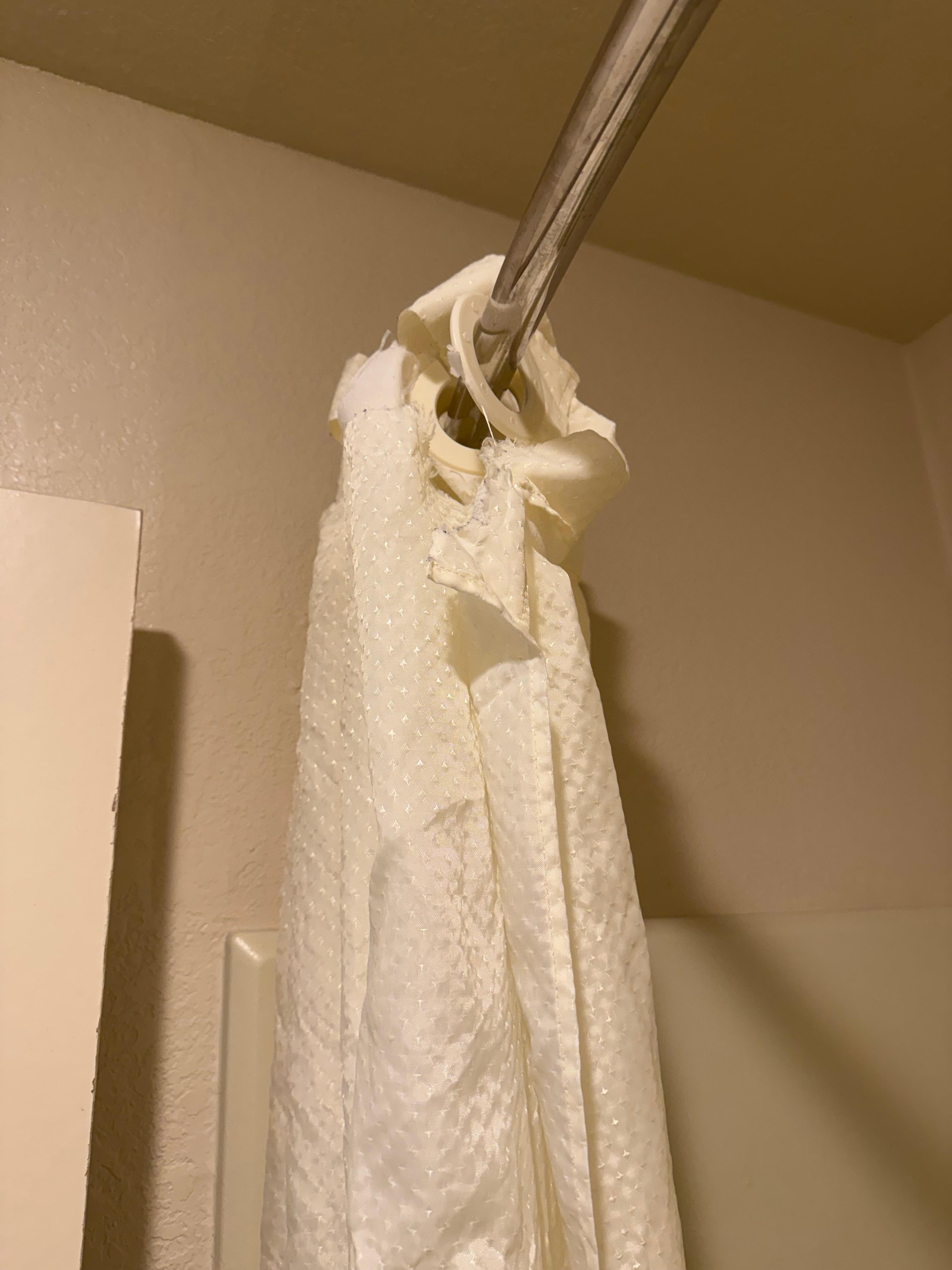 Shower curtain ripped