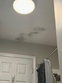 Black mold in the bathroom on ceiling