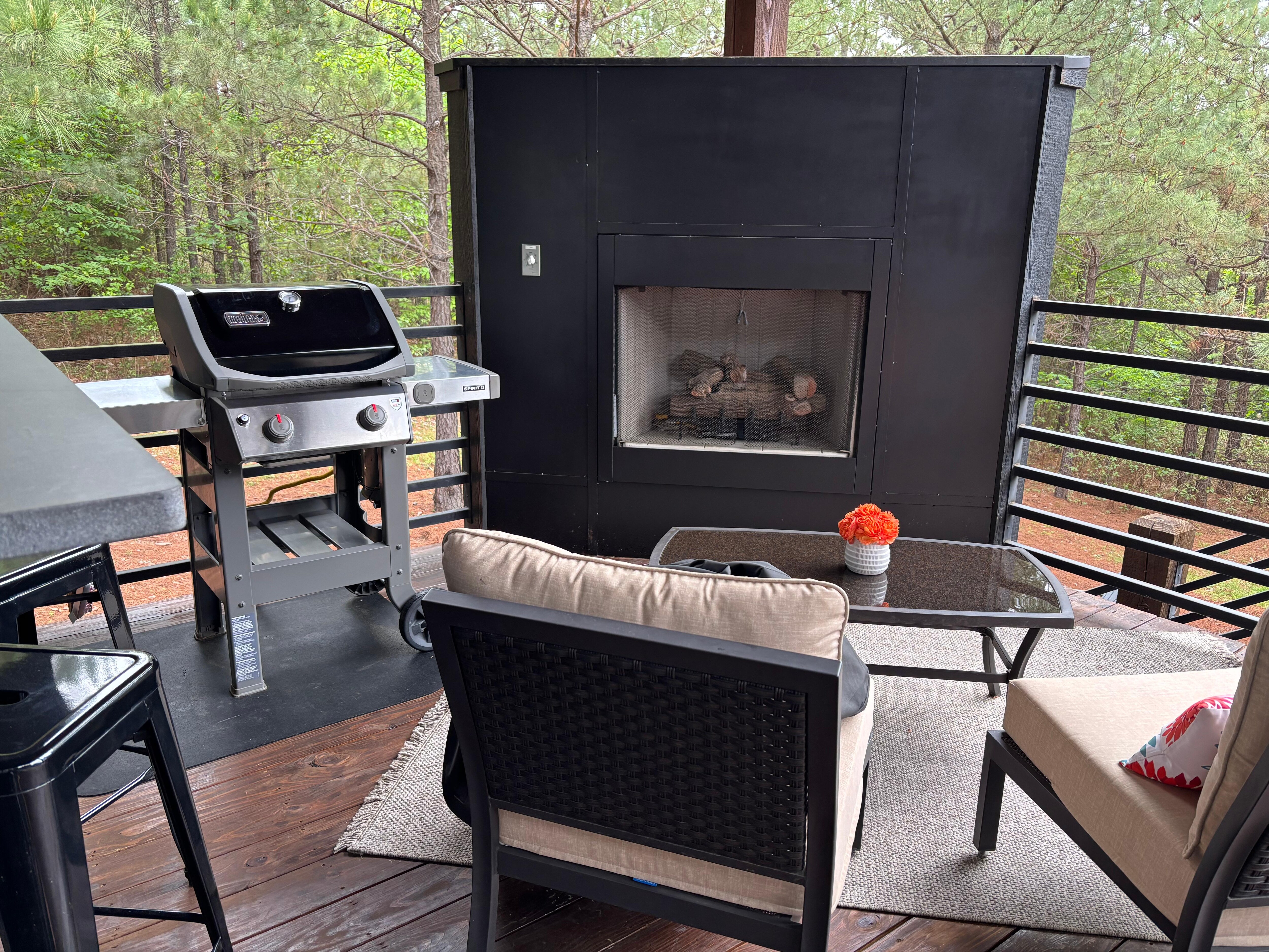 Outside fireplace(gas)