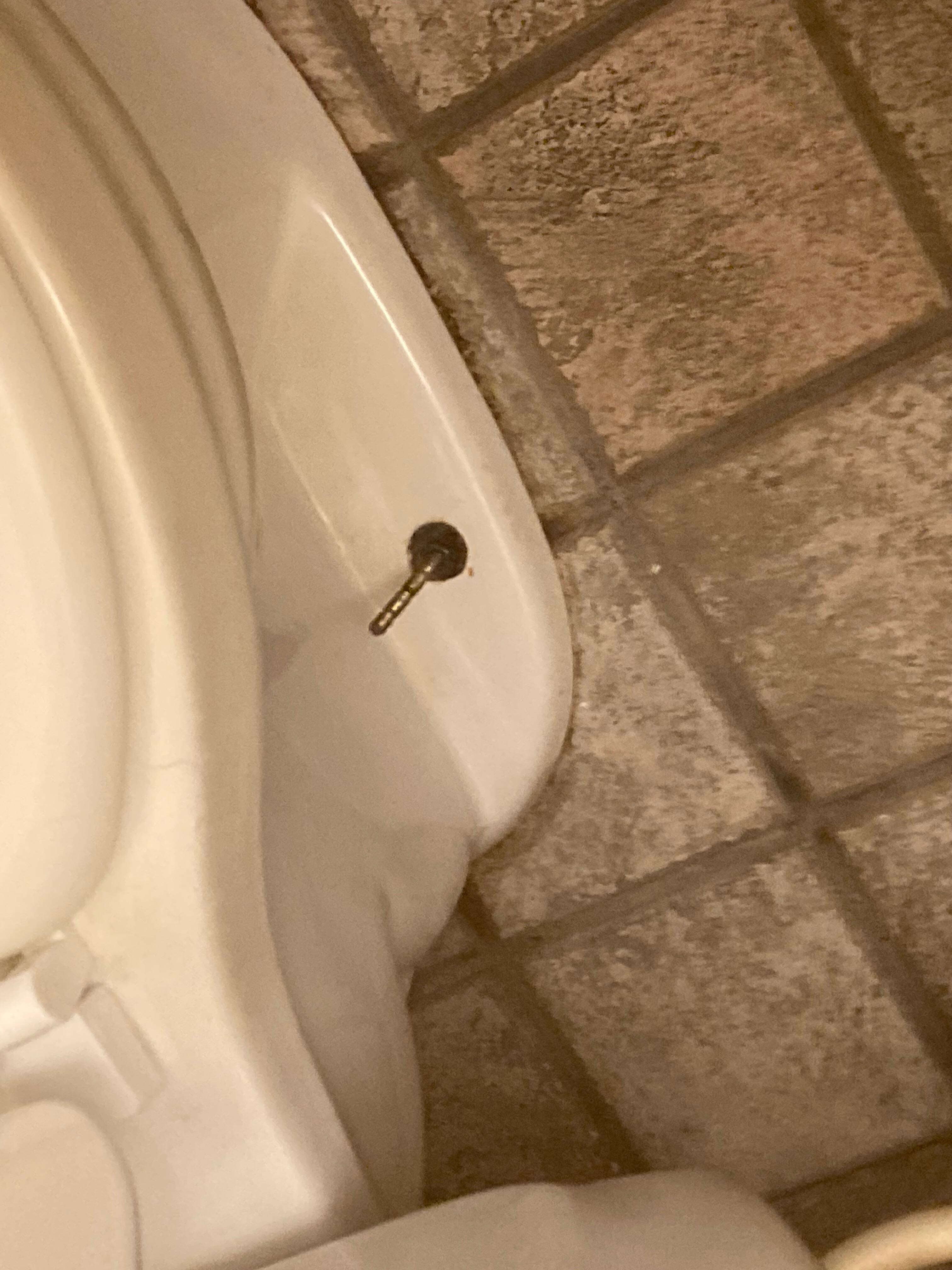 Wannly toilet mounted with exposed screws