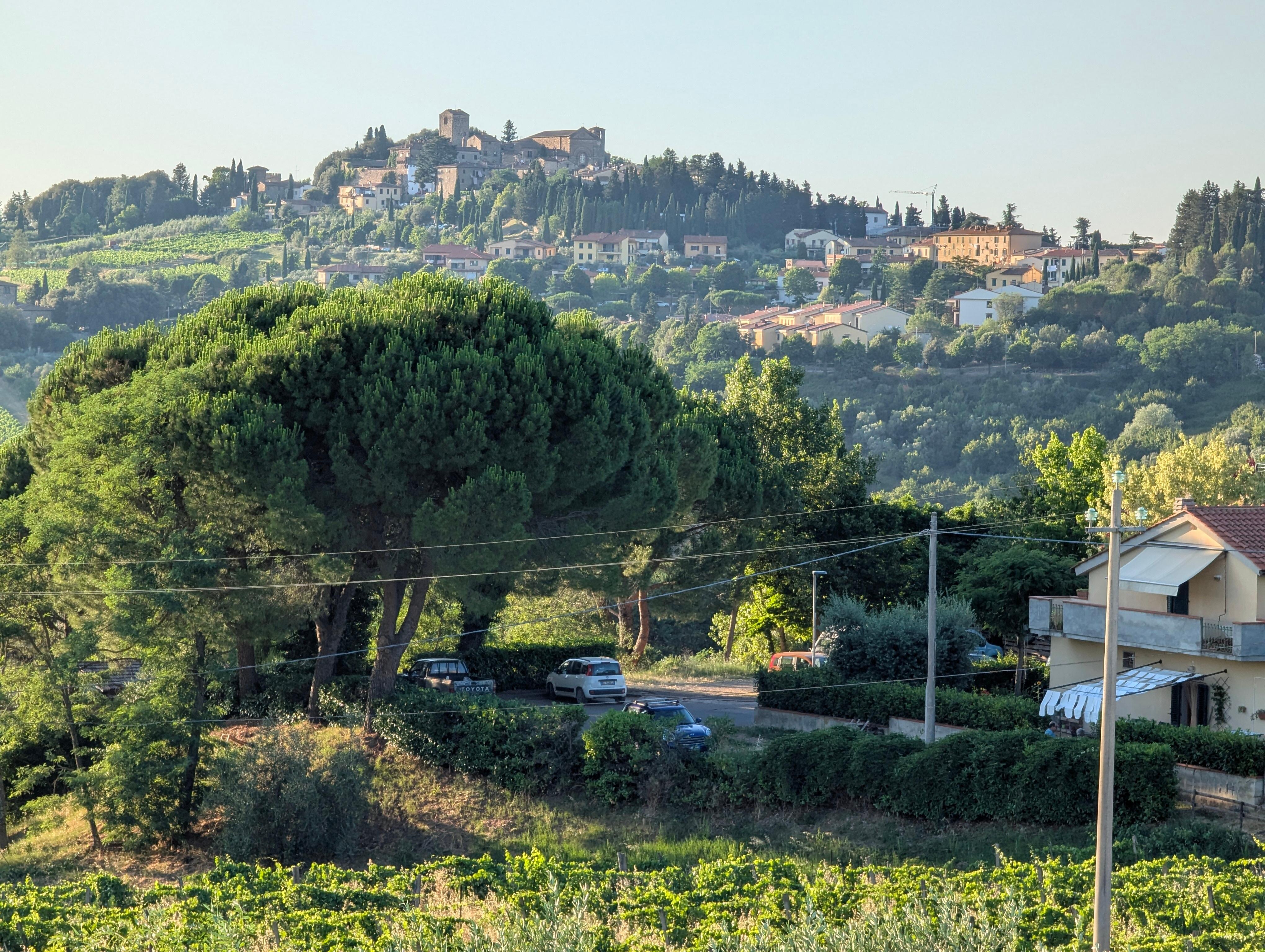 Vue de la terrasse 