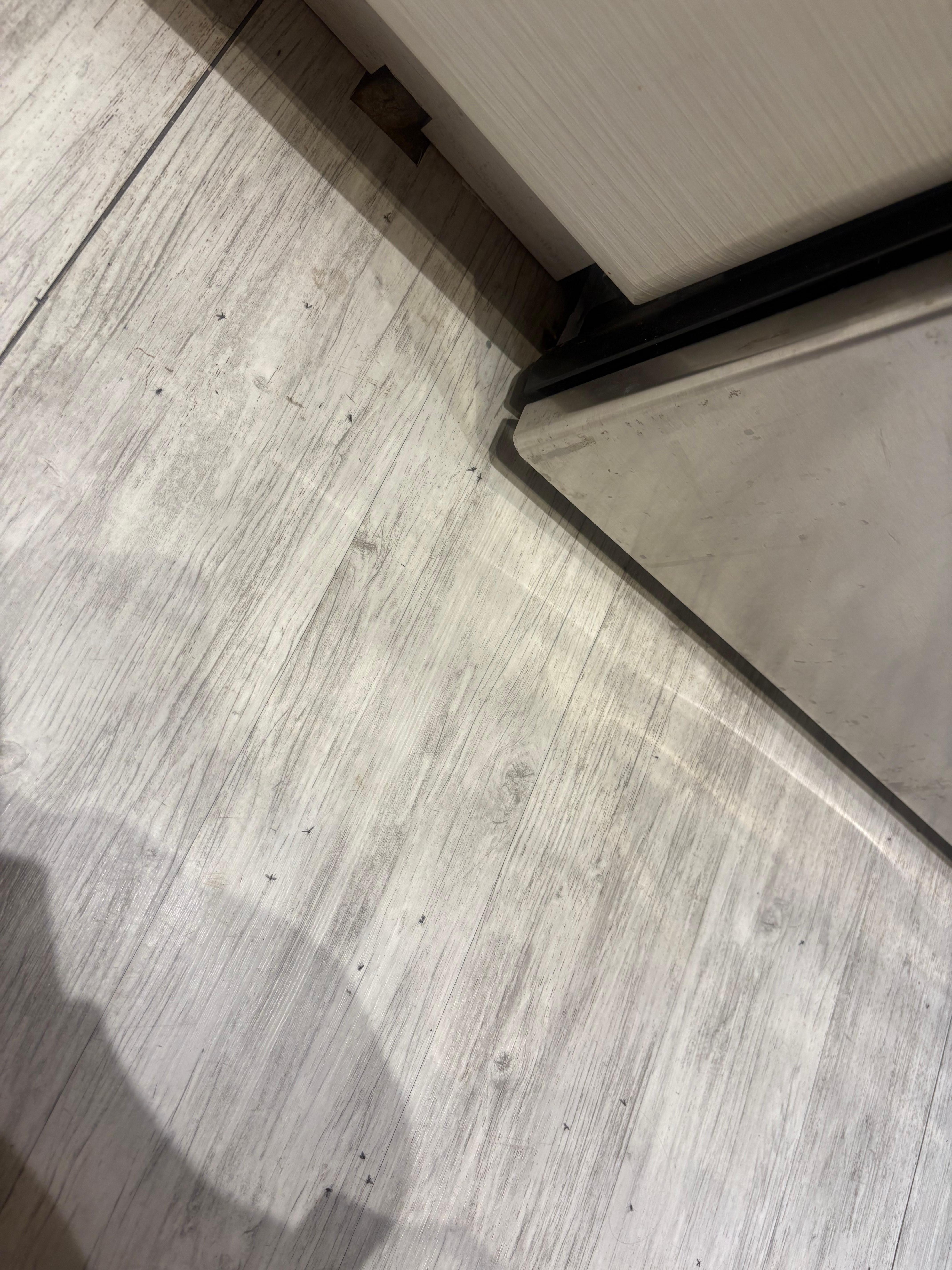 Kitchen floor 