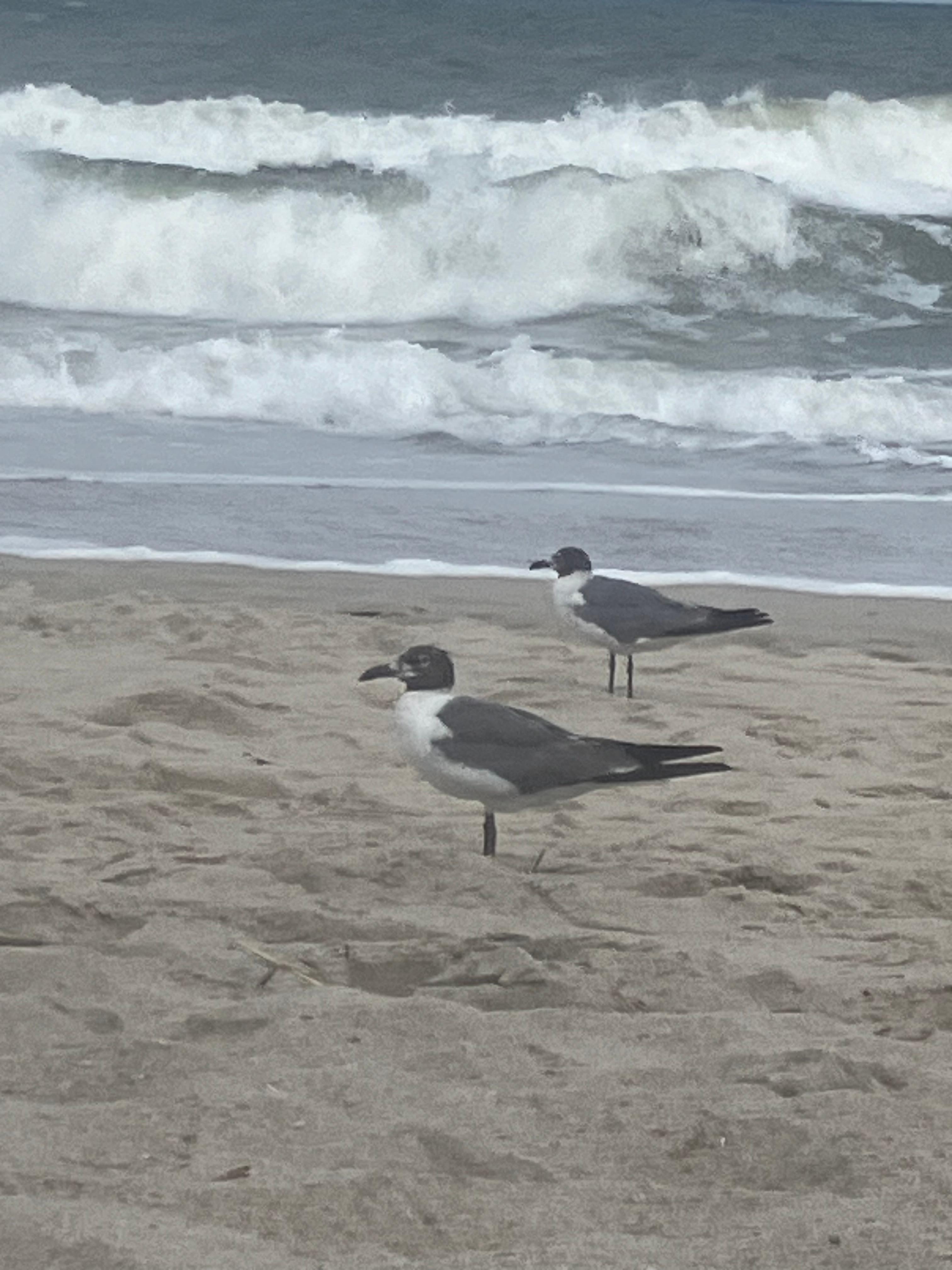 At the beach access at the unit