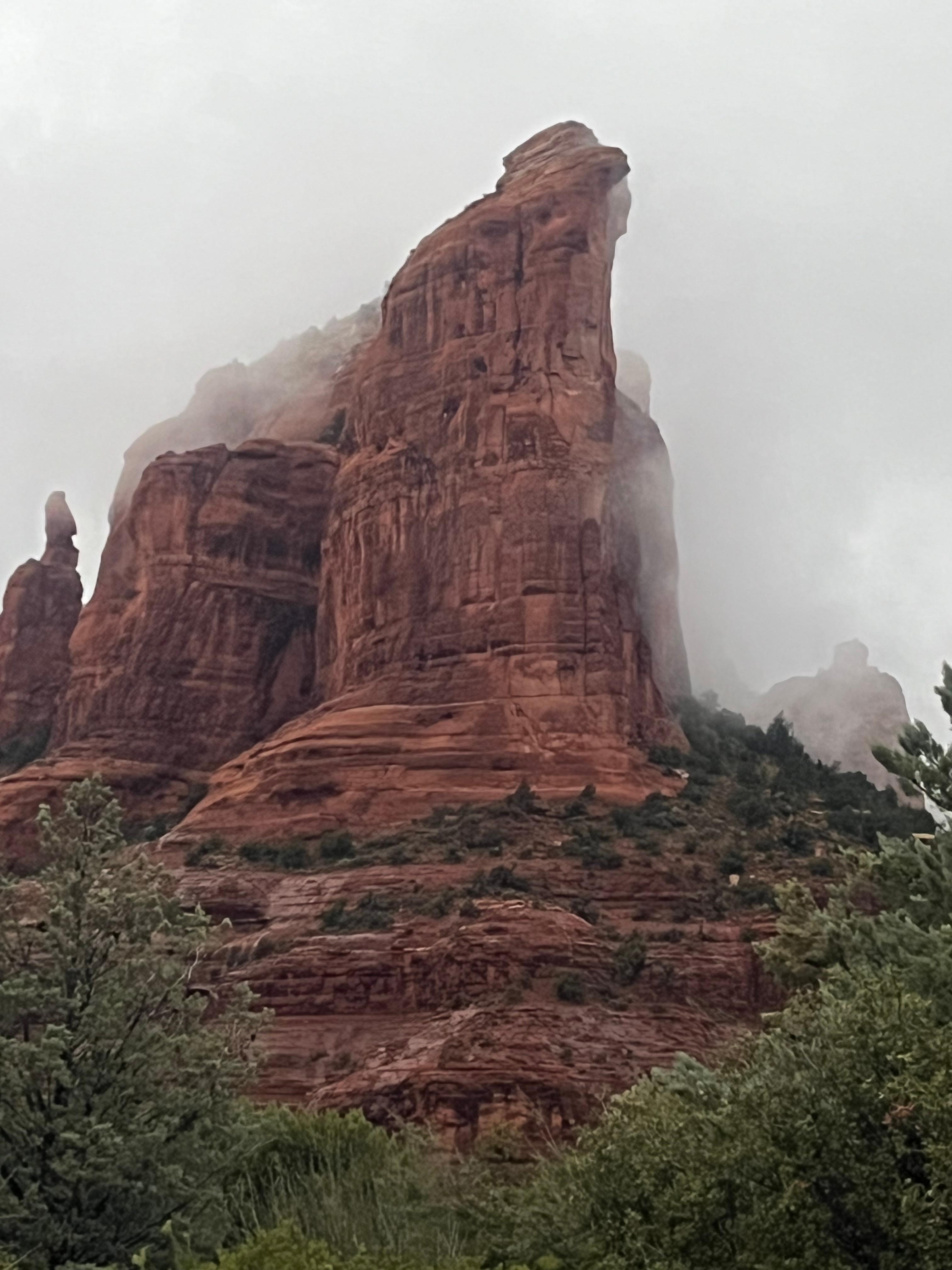 Steady rain our first day. This is the view from the front of the house. 