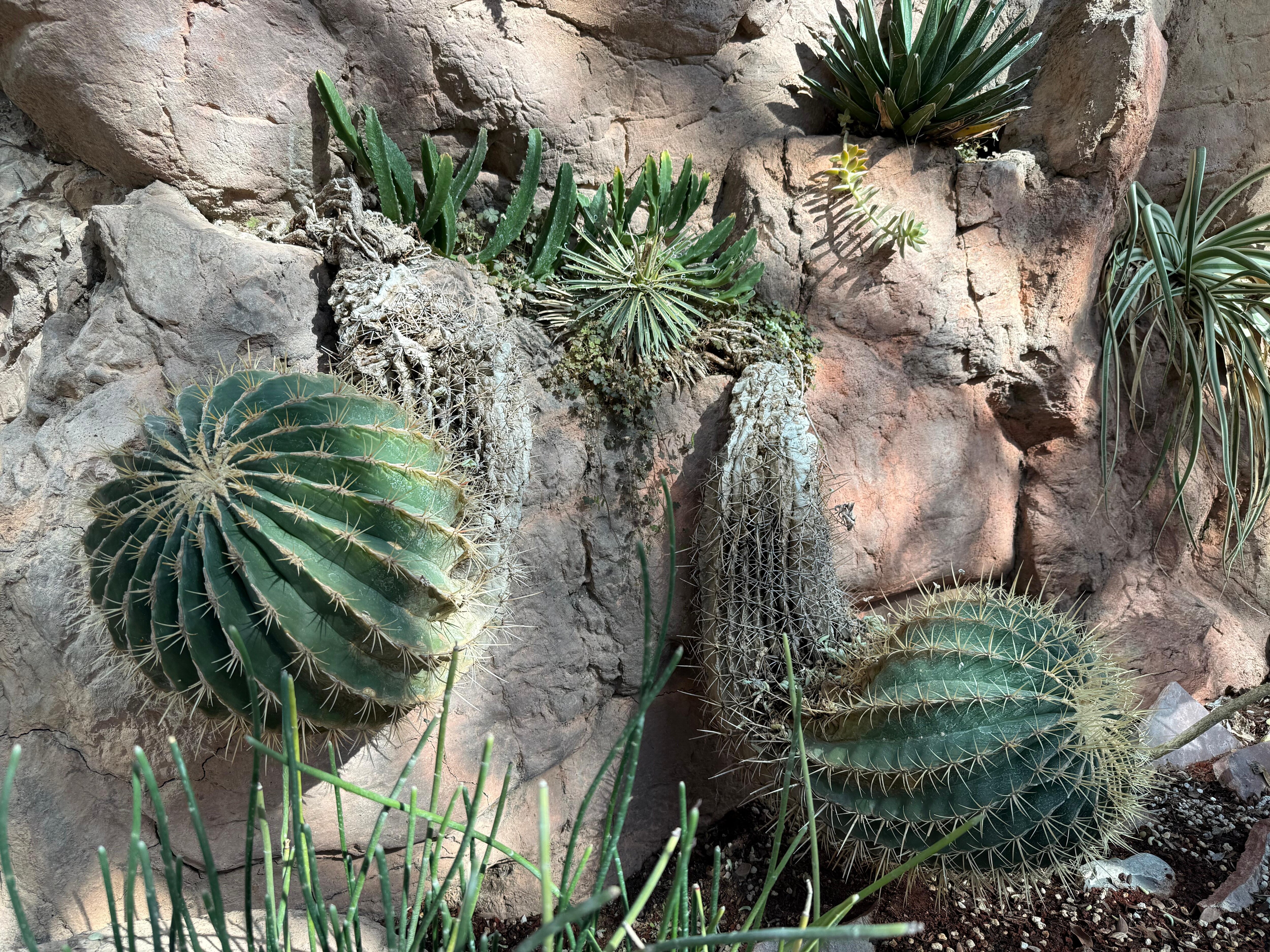 ABQ BioPark - Botanic Garden