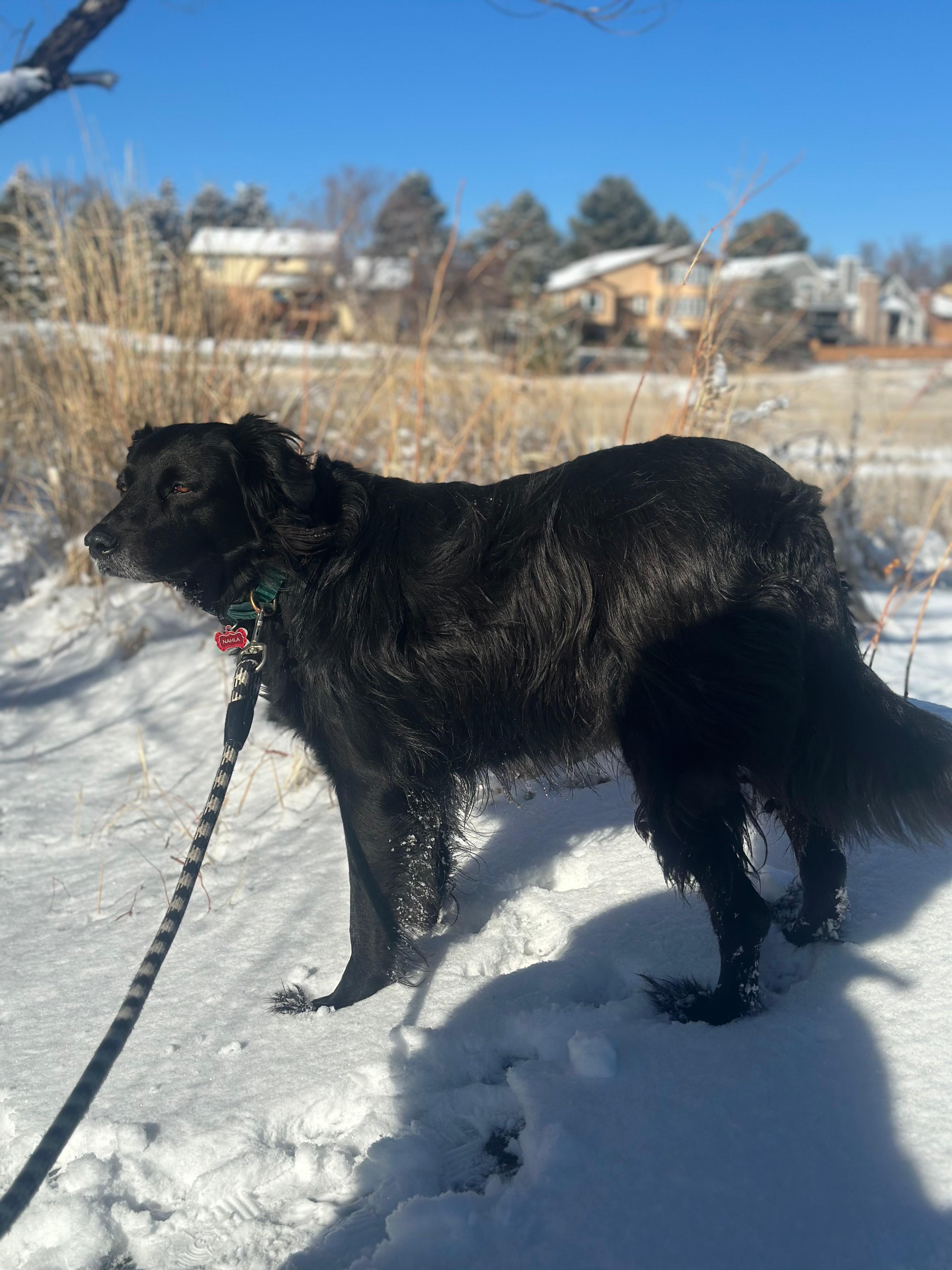Enjoying the state park. There’s an off leash dog area just minutes away. 