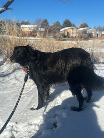 Enjoying the state park. There’s an off leash dog area just minutes away.
