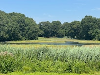 Relaxing marsh view