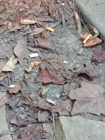 Cigarette butts all over ground