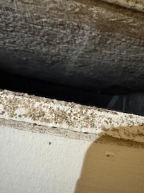 Mold on air conditioning unit