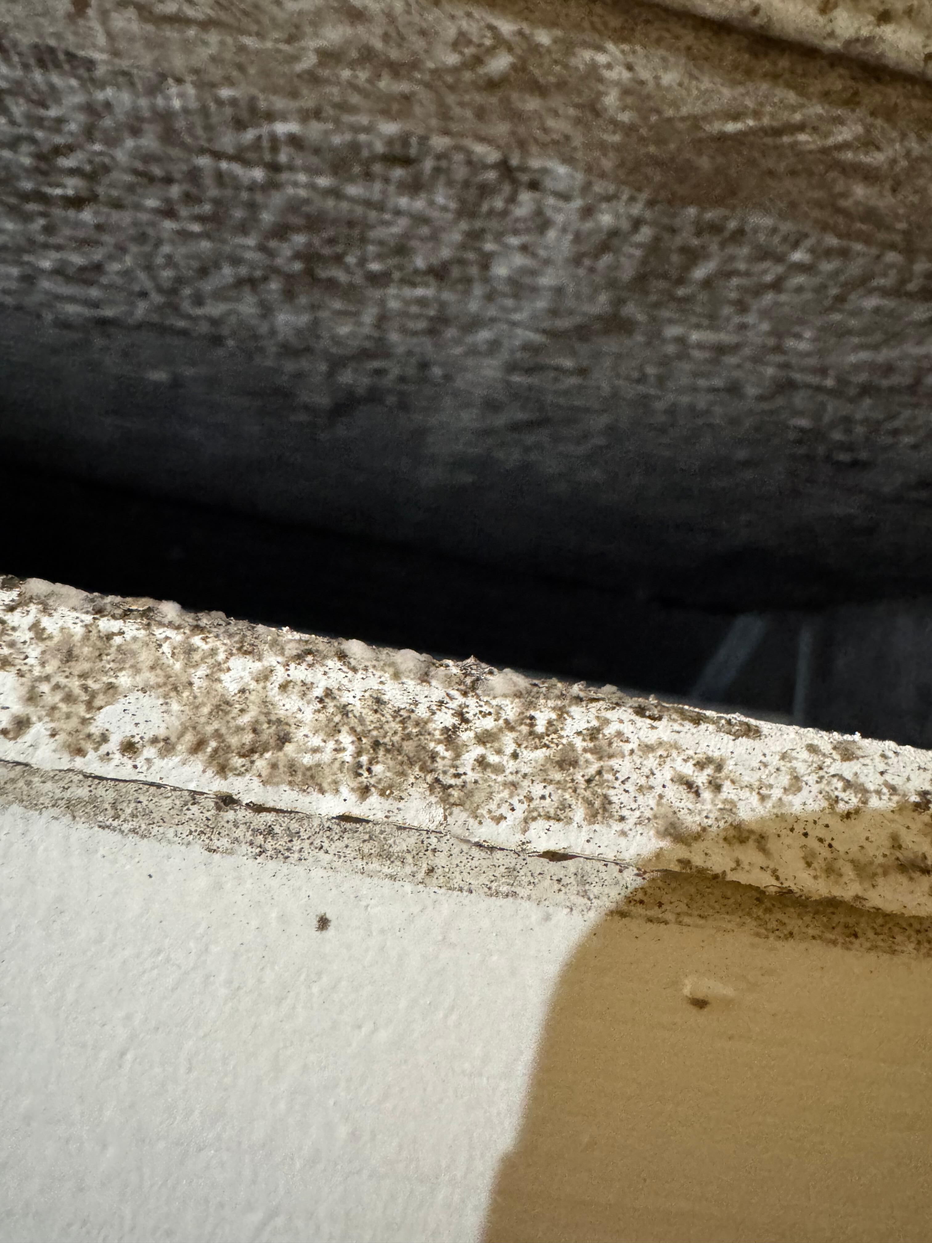 Mold on air conditioning unit 
