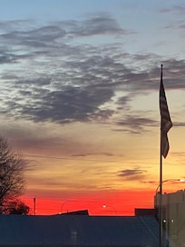 Morning view from living room