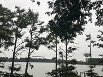 View from the porch