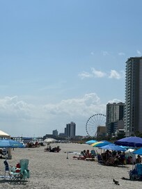 View from the beach