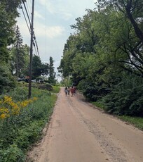 Road to Cranberry Lake.
