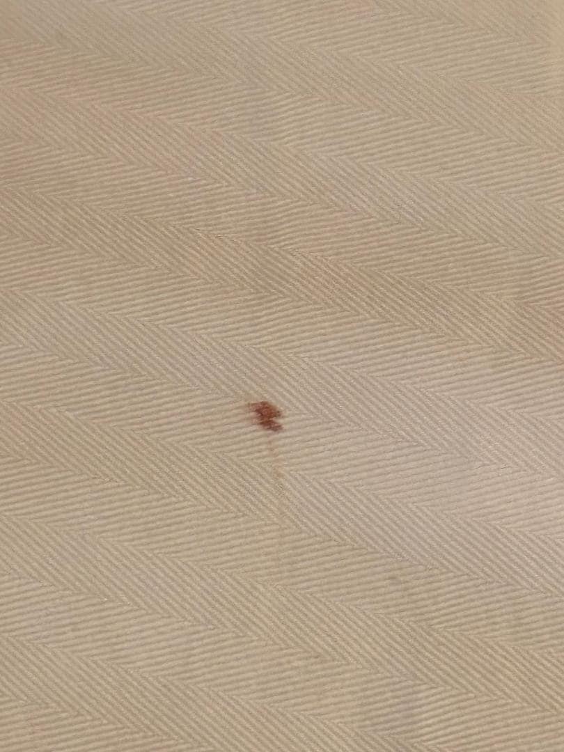 Blood on top comforter