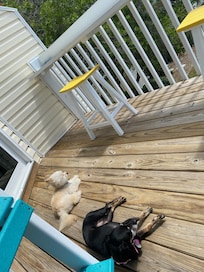 Outside deck, our babies are on vacation as well