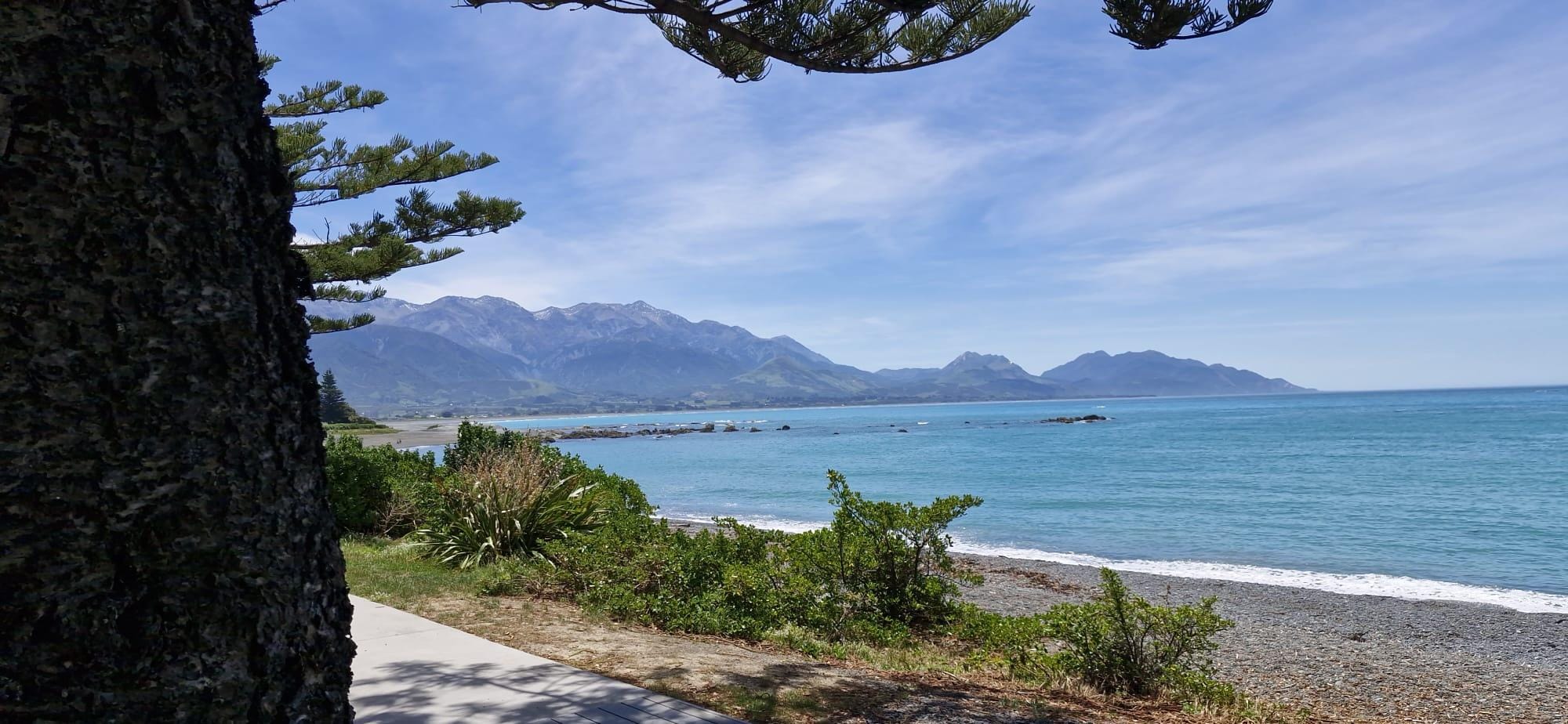 The view from the front. 