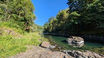 Semi-private Wilson River spot looking east