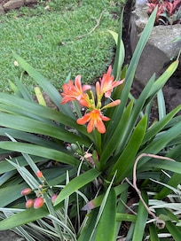 Beautiful gardens