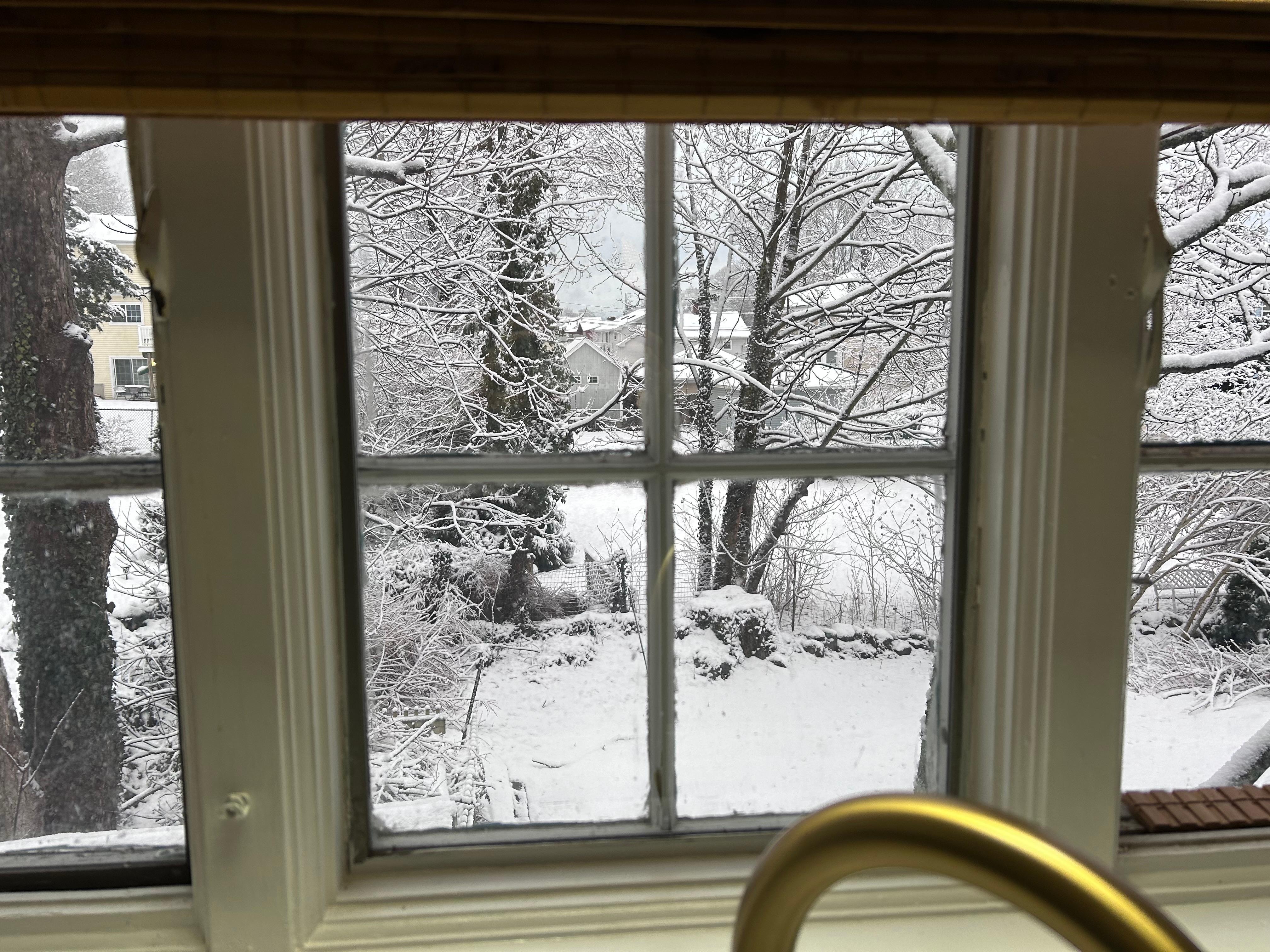 Out the kitchen window.