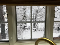 Out the kitchen window.