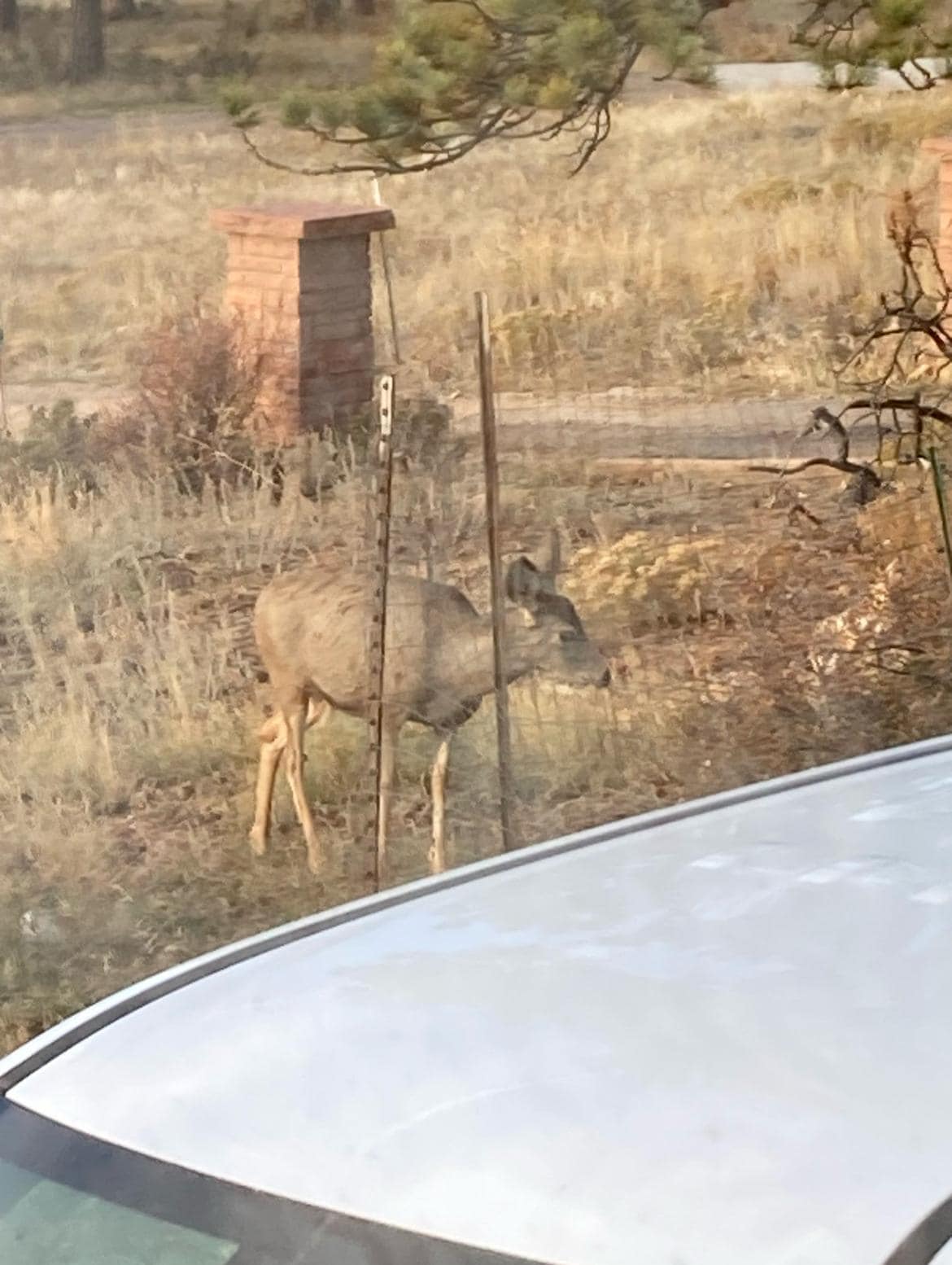 Came to right beside the place to munch