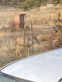 Came to right beside the place to munch