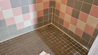 dirty, moldy shower