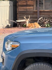 Just Chillin’