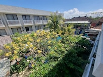 The pool is tucked under the frangipani trees. Beautiful, deep, big enough for a decent swim.