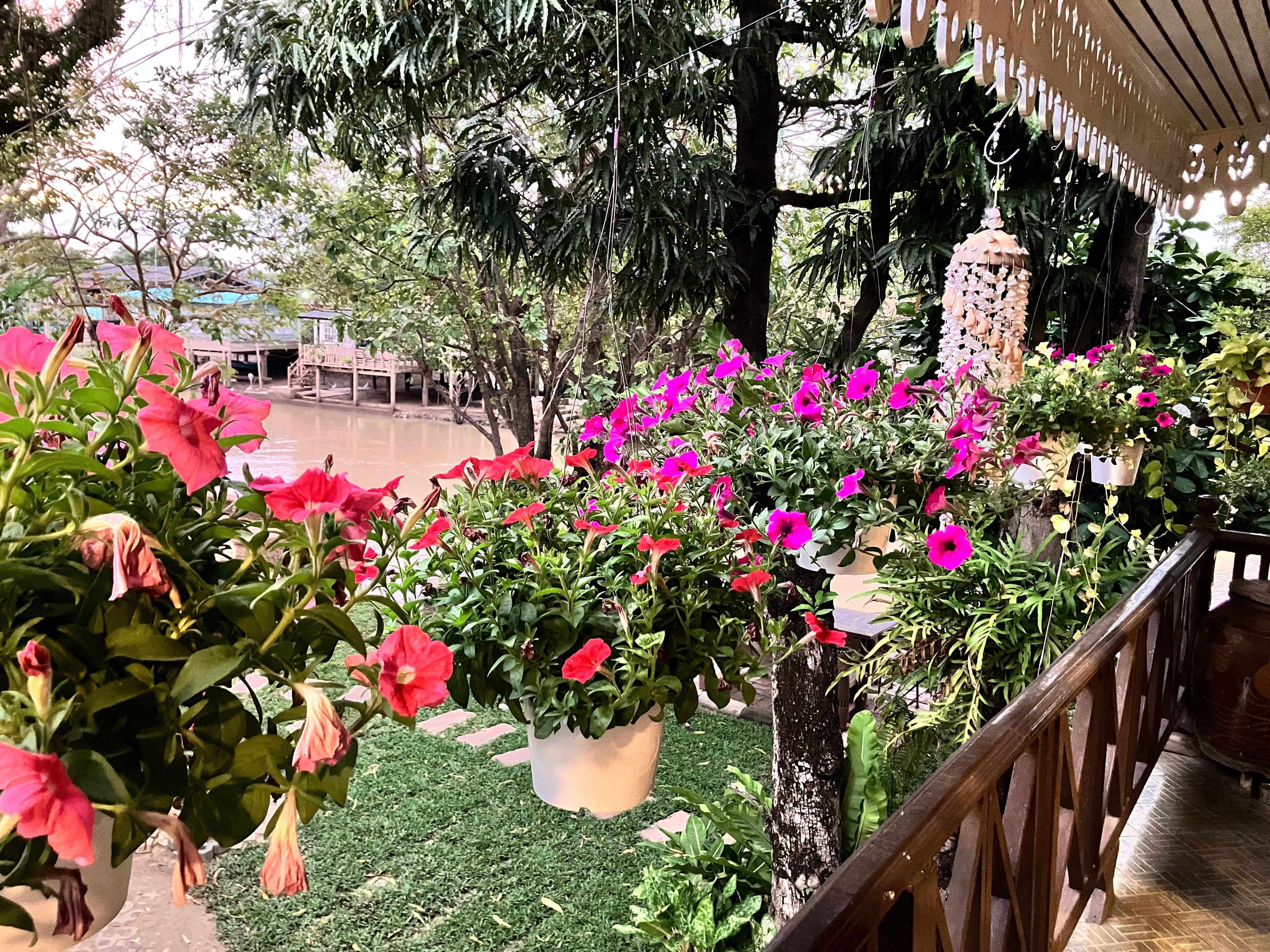 バルコニーからの眺め