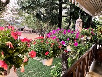 バルコニーからの眺め