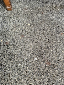 Stained carpet and did not vacuum once during our week long stay.