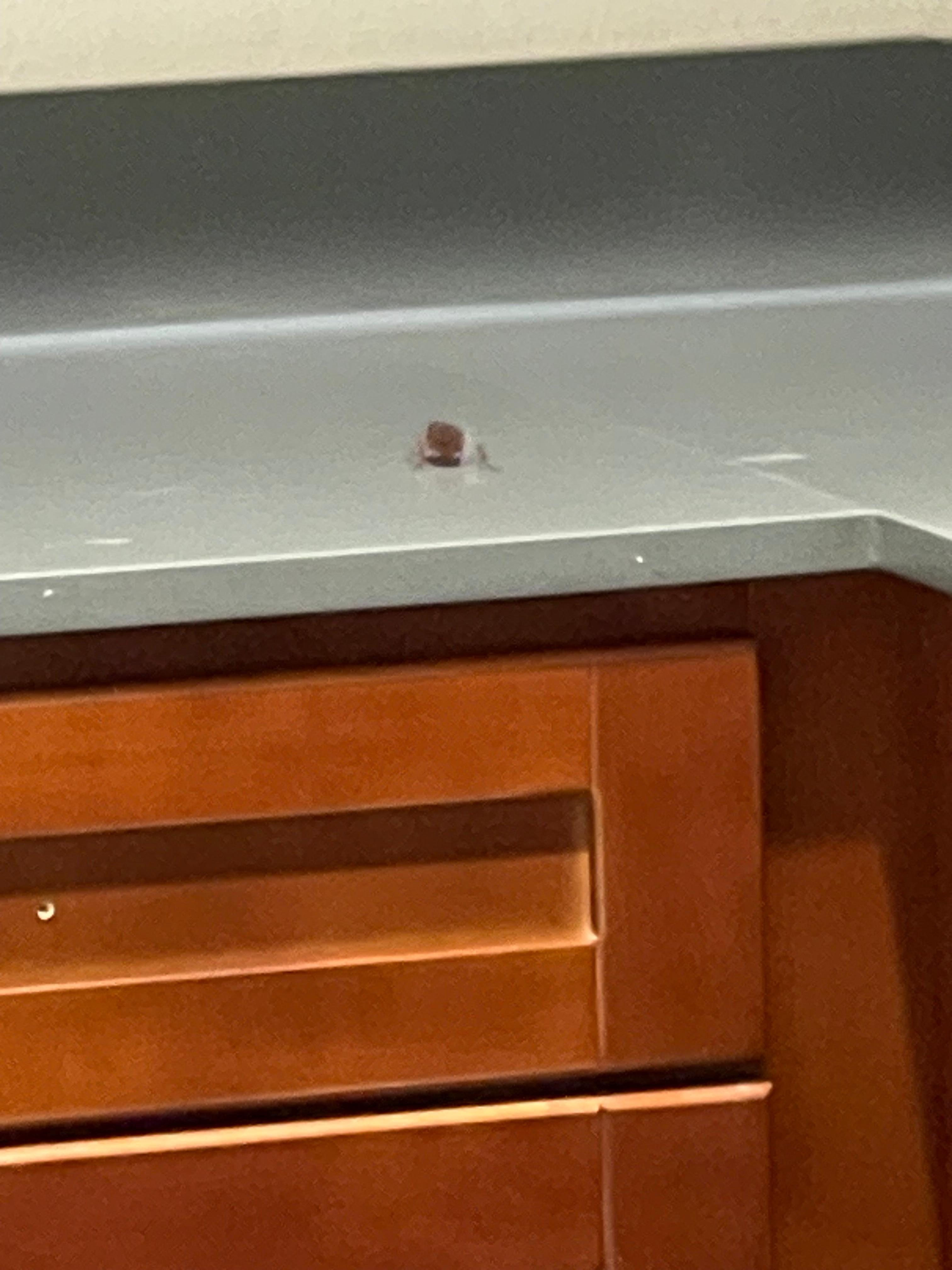 Guest already occupying room before I checked in