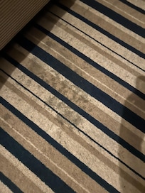 Dirty carpet