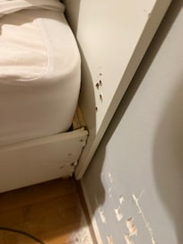 Damage to bedroom wall.