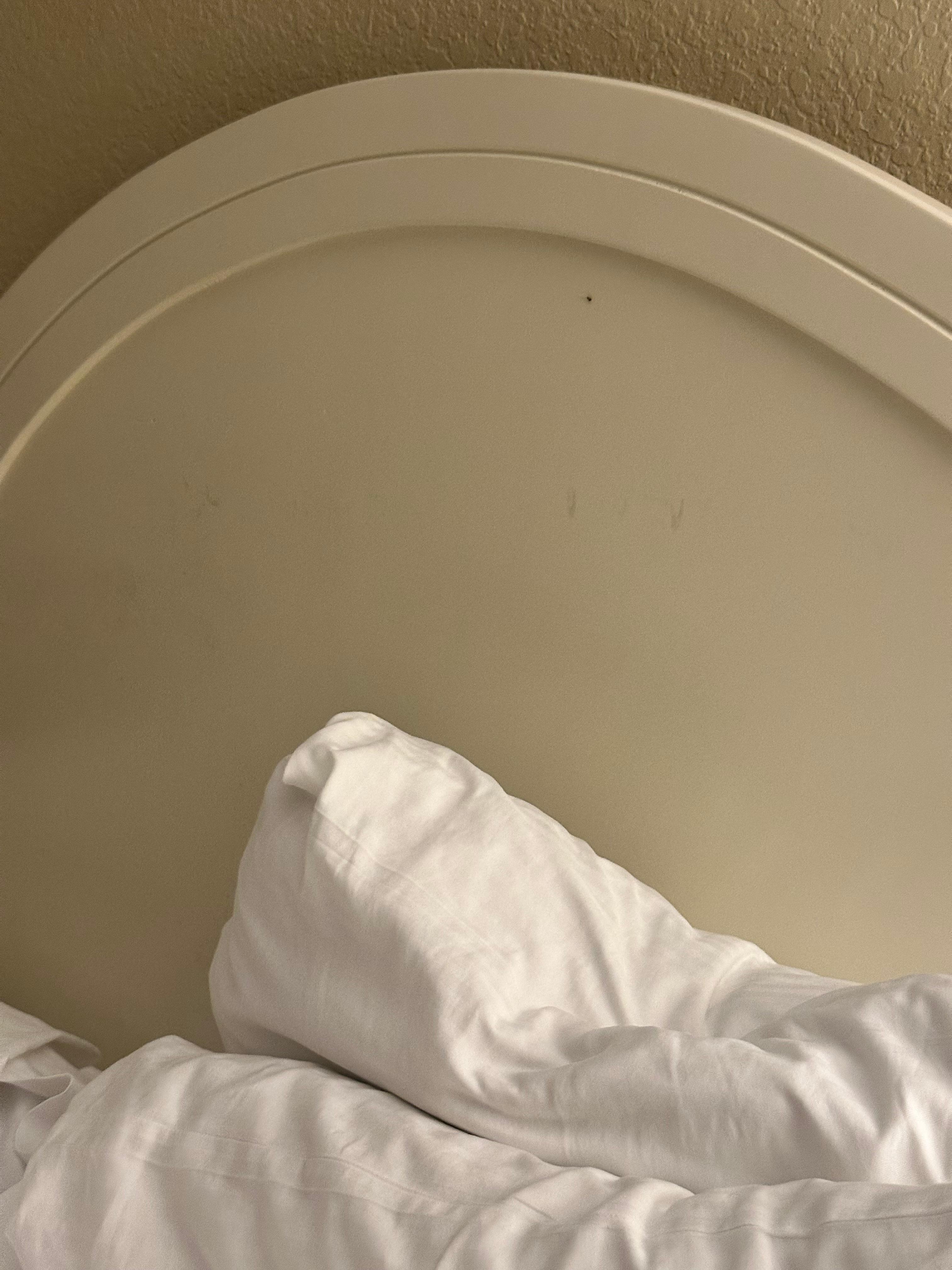 My sick son was trying to sleep laying there with the flu and found this when his phone rang on the headboard a baby roach roaming around.