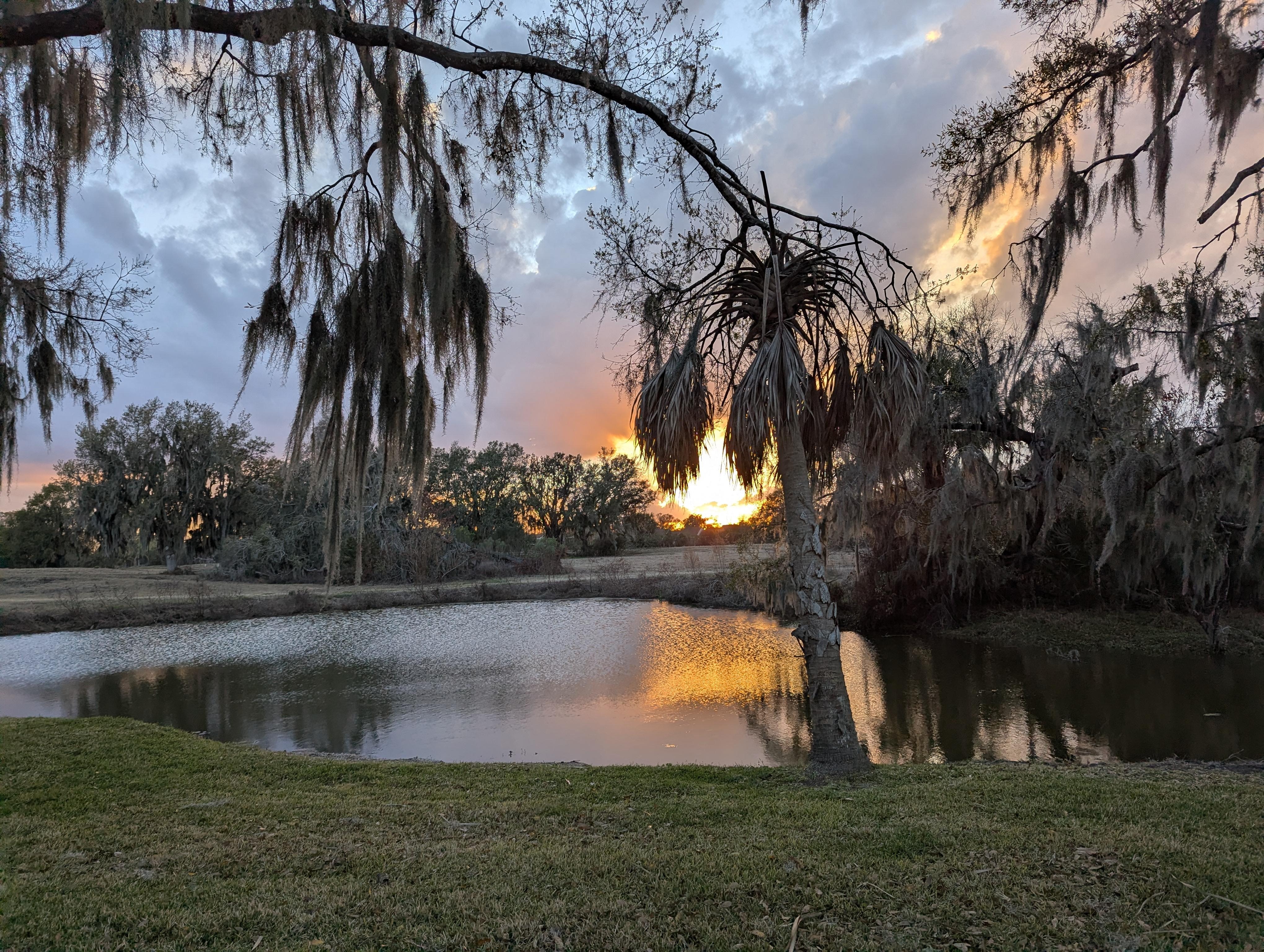 View from the back Lanai 