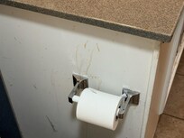 Gross! What are these brown streaks by the toilet paper??