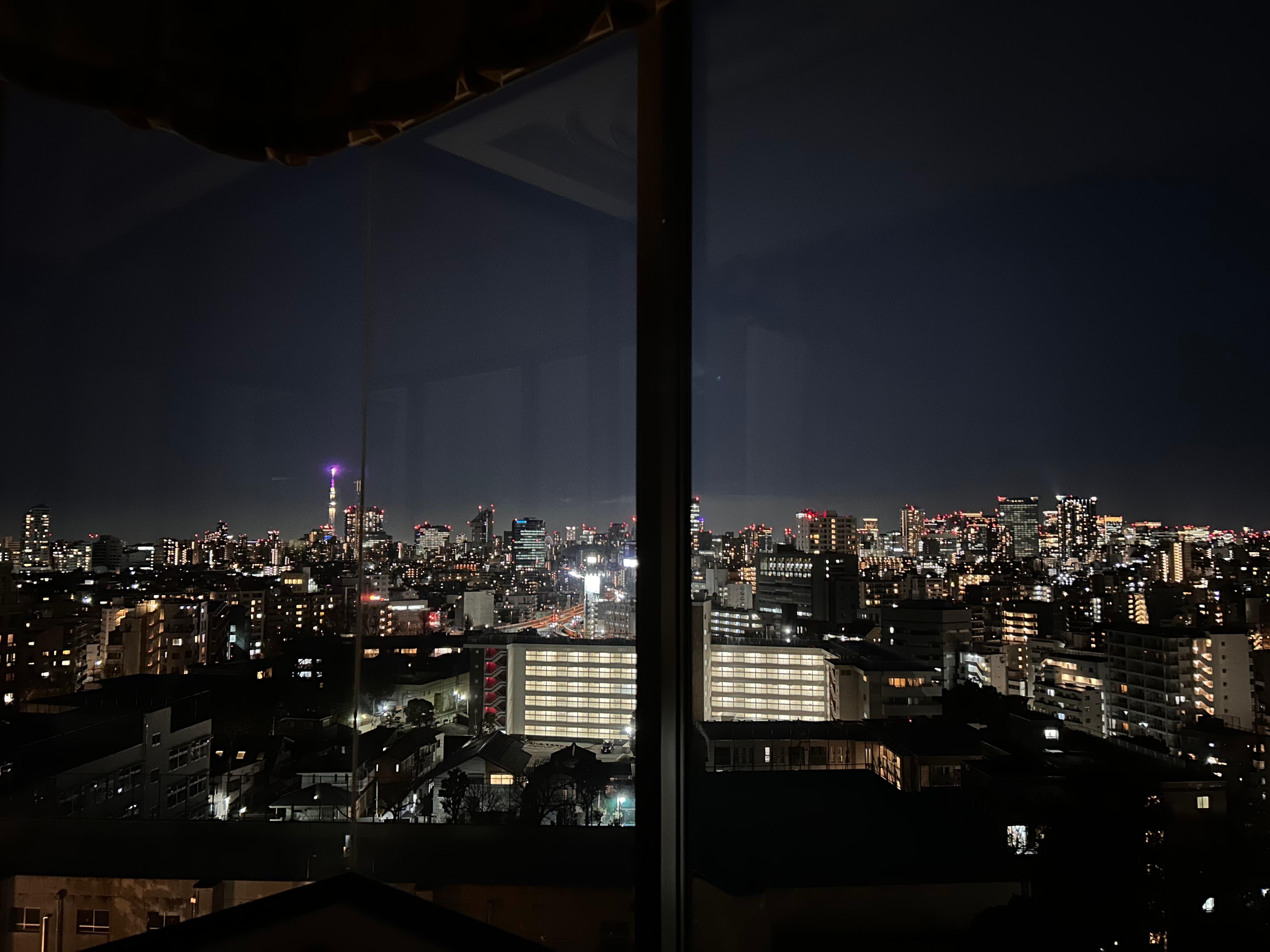 the view of the city from our room. 