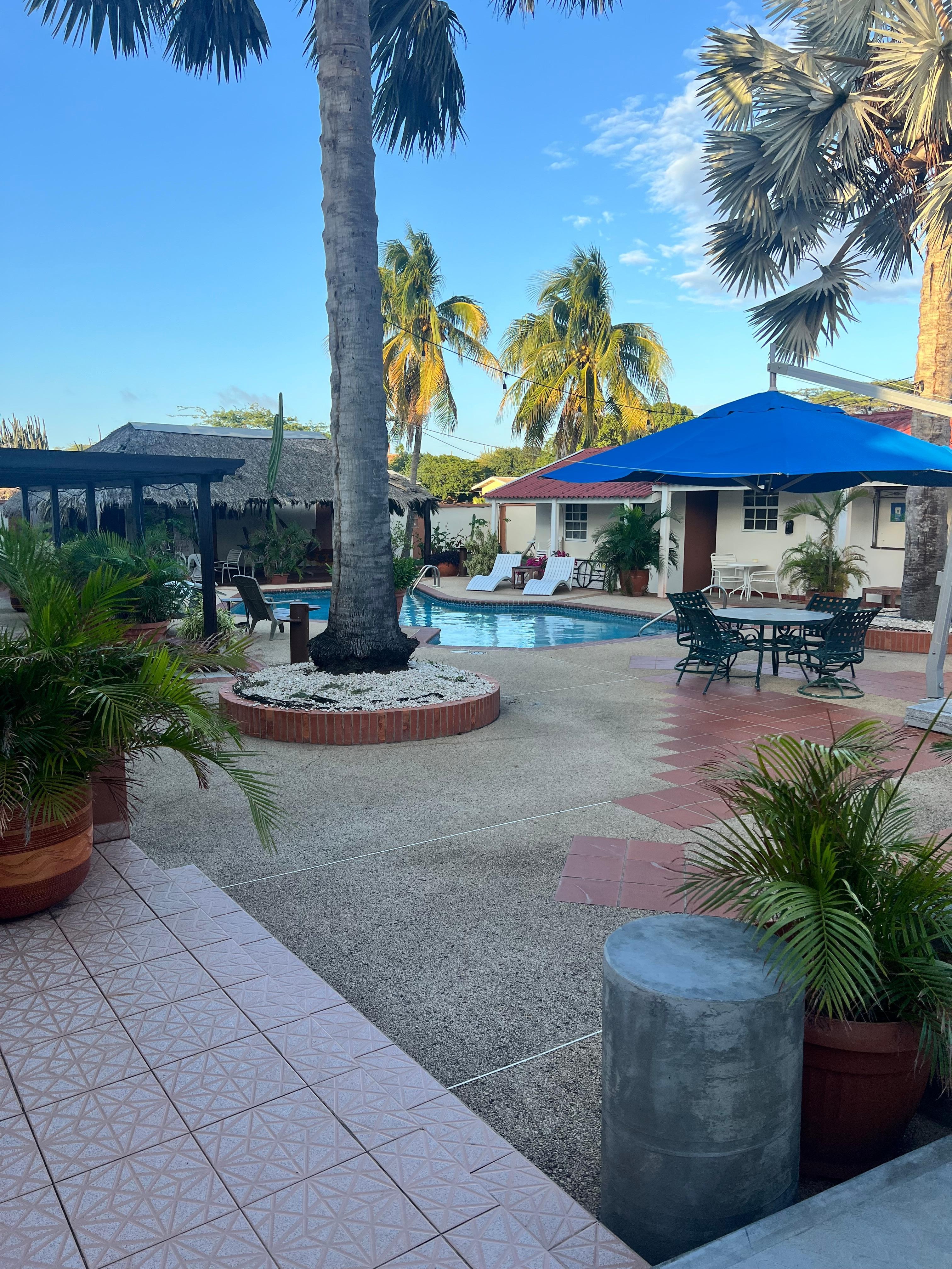 Although a bit too cold for a swim while we were there, covered area in the back had lovely seating options including two hammocks!