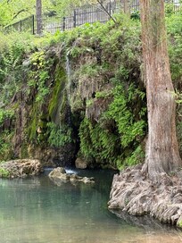 Krause Springs