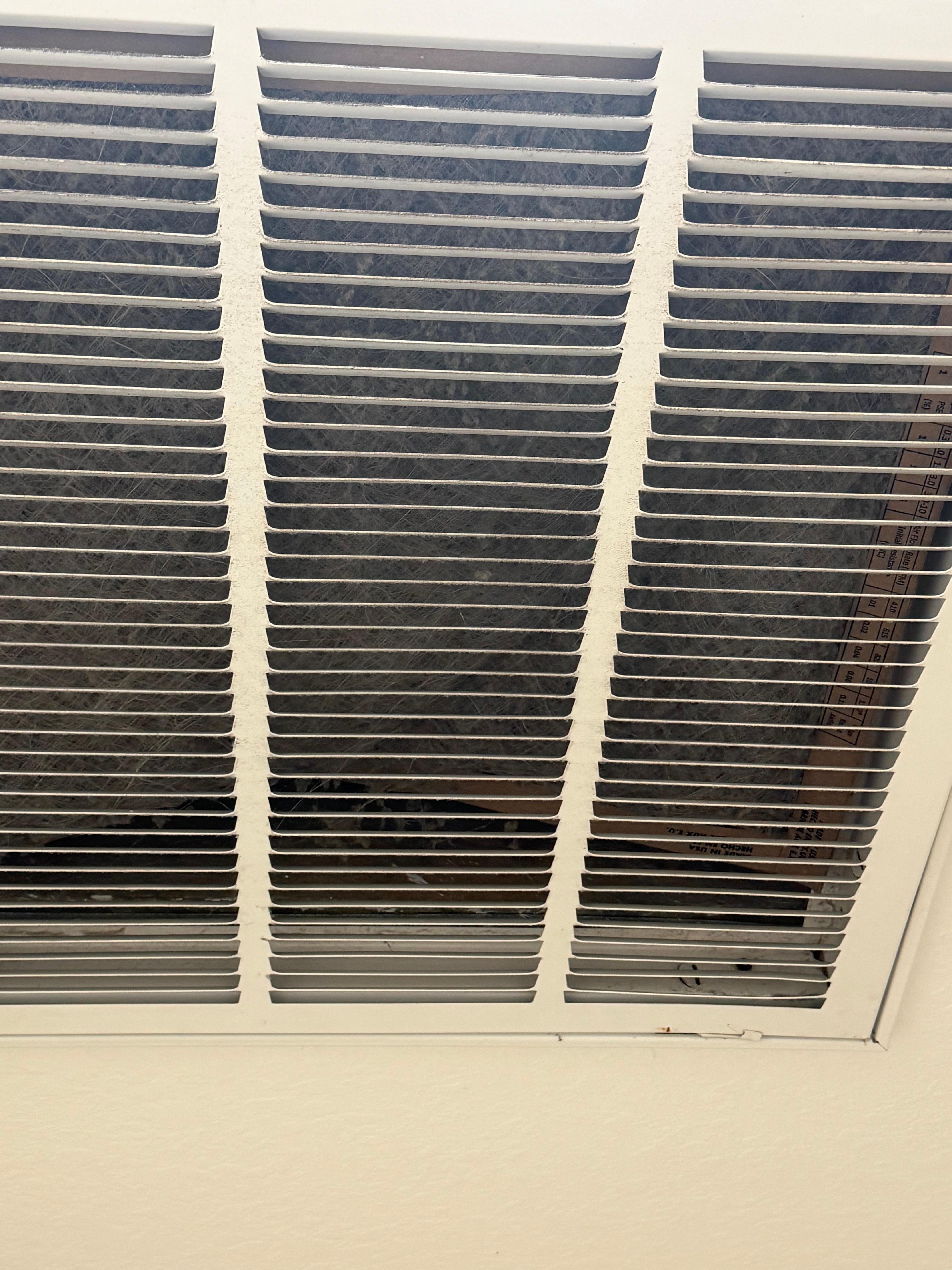 The air filter is one of the worst I have seen as a professional cleaner. 