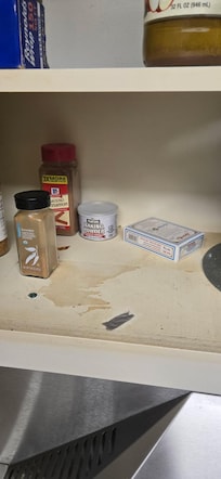 Kitchen cabinets