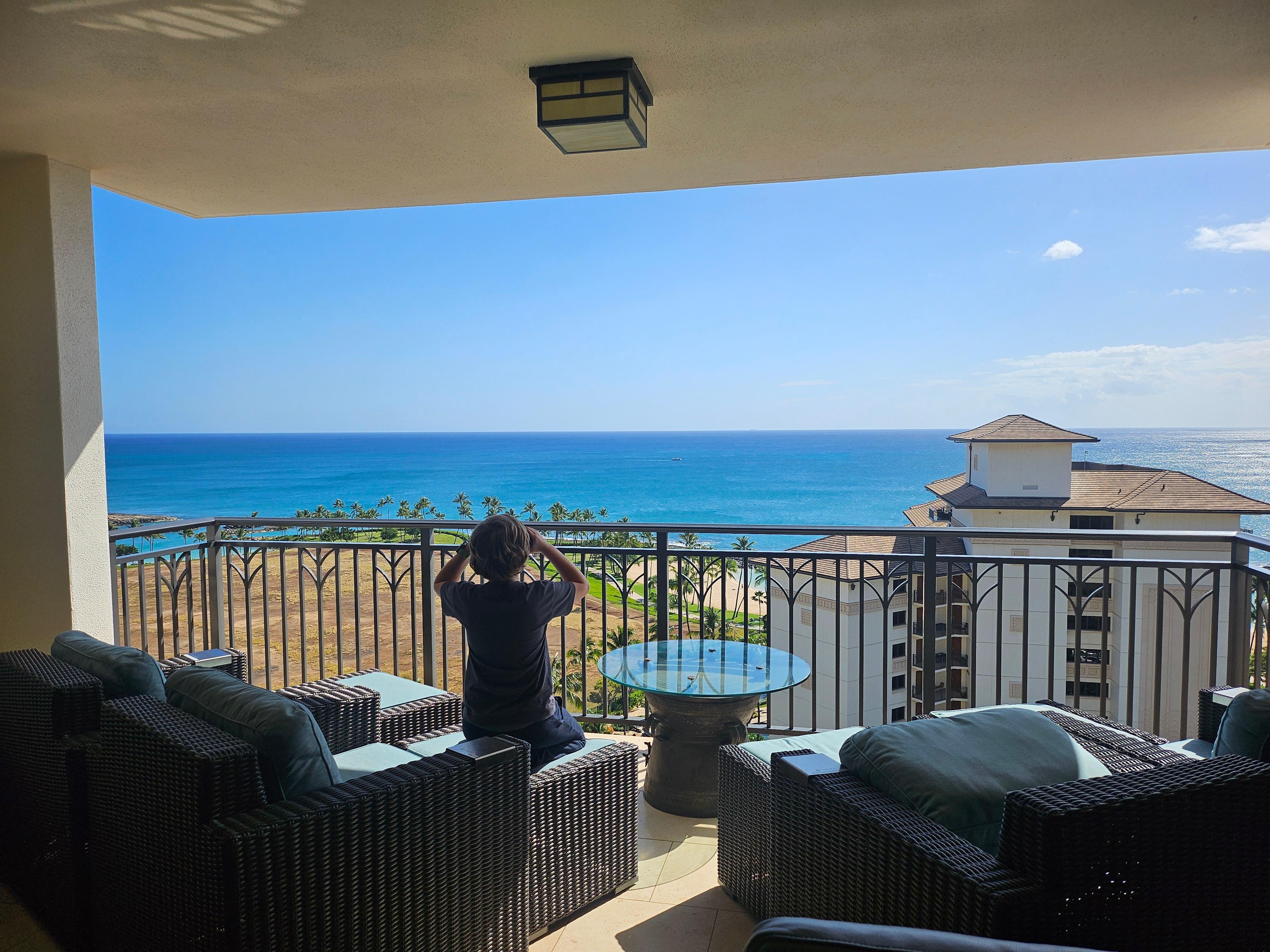 View from the lanai (binoculars provided by the owner)