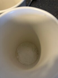 Utensil holder dirty with hairs