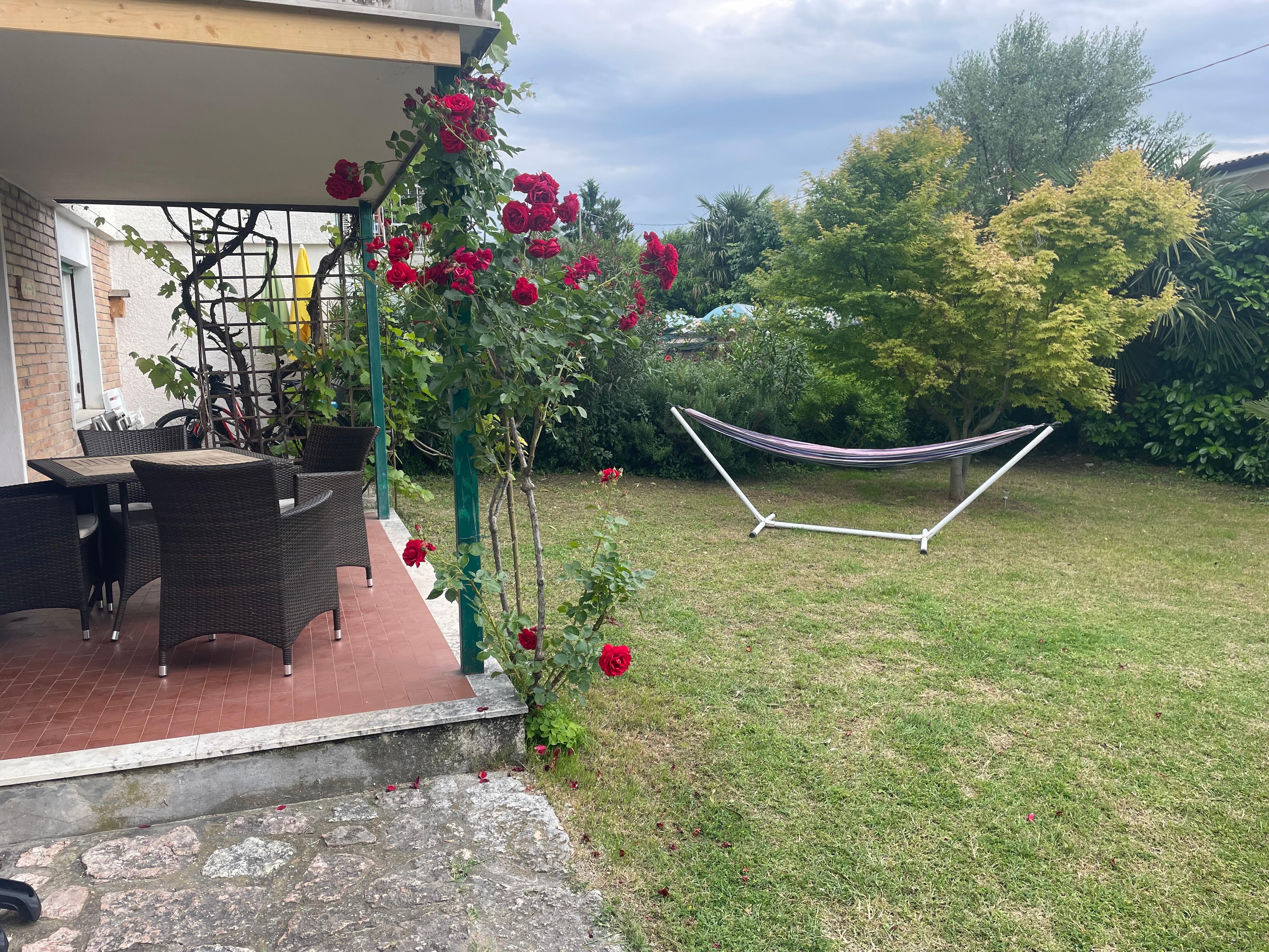 Schöner Garten mit Hängematte