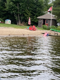 Watching ducks on the beach.
