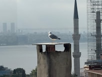 Nice view of the Bosporus Sea from the terrace of the Sultanhan hotel.
